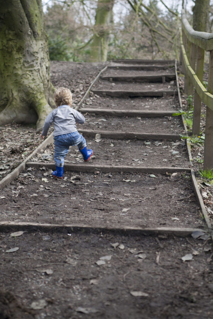 Cheshire children's photography at Abney Hall in Cheshire of a little boy climbing some steps.
