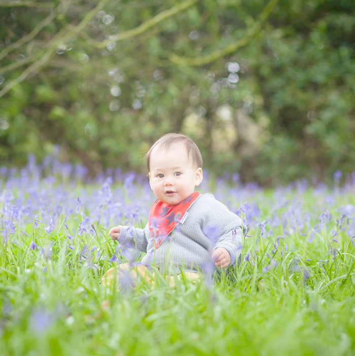 Bluebell photography photography in Lyme Park Cheshire of a toddler surrounded by Bluebells at Lyme Park