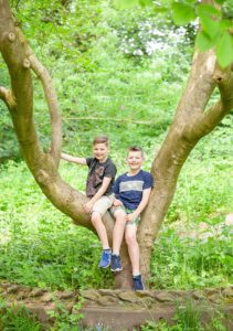 boys in a tree
